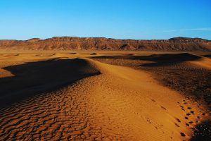 Read more about the article 5 days Casablanca to Zagora desert